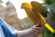 Discovery Cove® Package